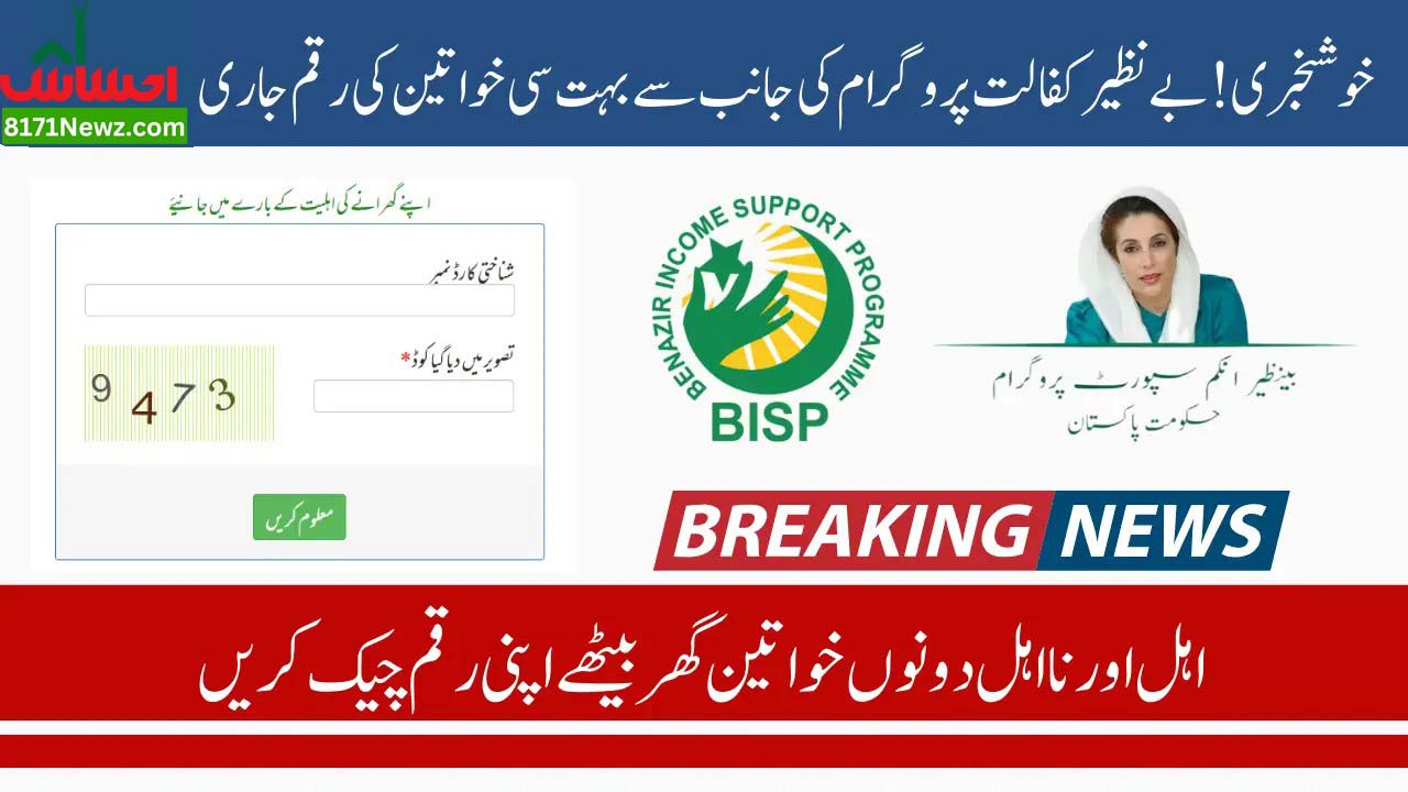 How to Check Your BISP 8171 Result Online by CNIC for November & December Payments