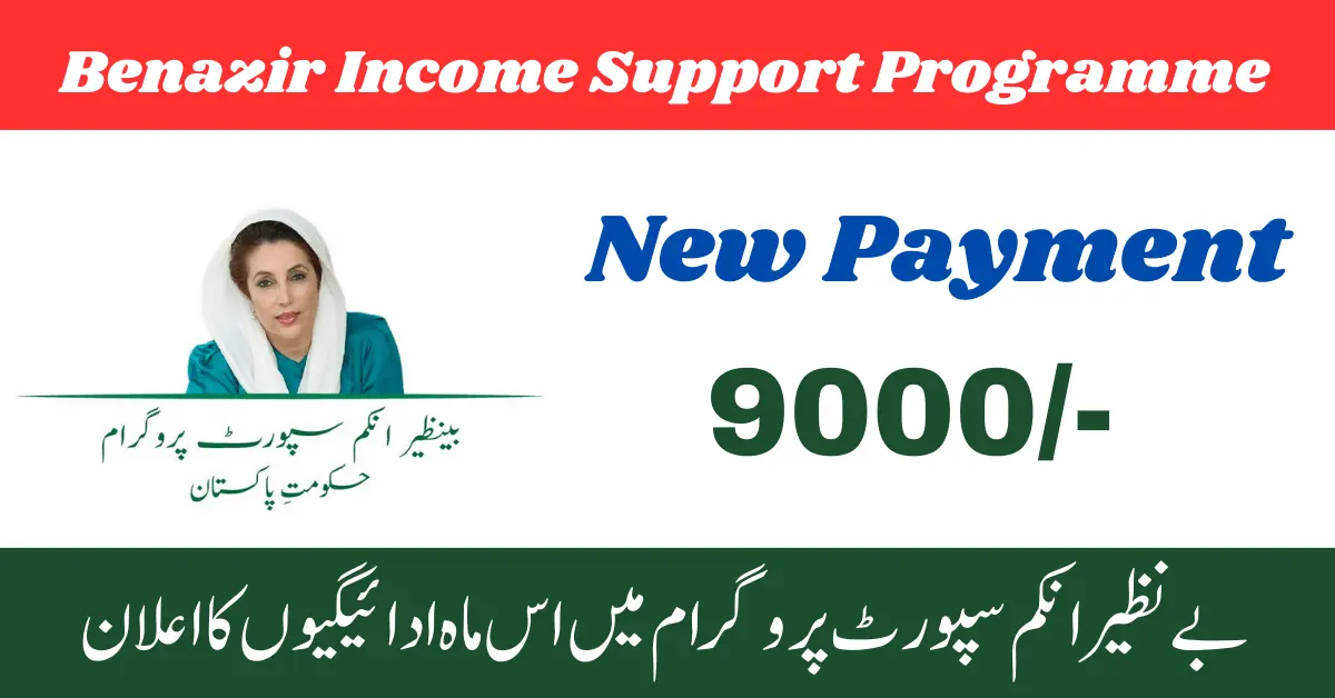 Benazir Income Support Program Online Registration 2024: A Guide for Eligible Families